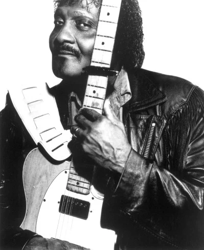 Albert Collins 歌手