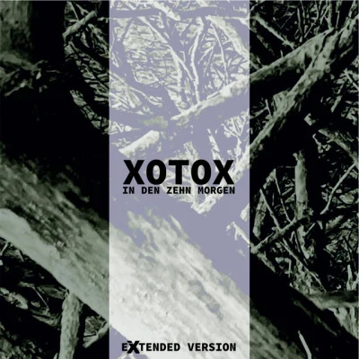 歌手 Xotox