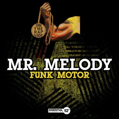 歌手 Mr.MelodyWizkon