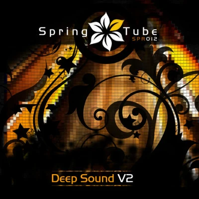 歌手 Deep SoundSoarsweep