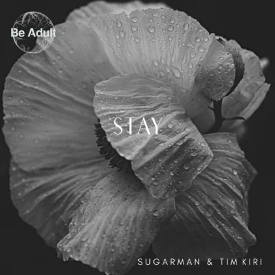 歌手 Tim KiriSugarman