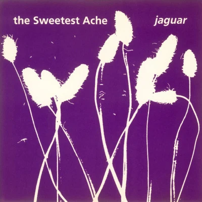 歌手 The Sweetest Ache