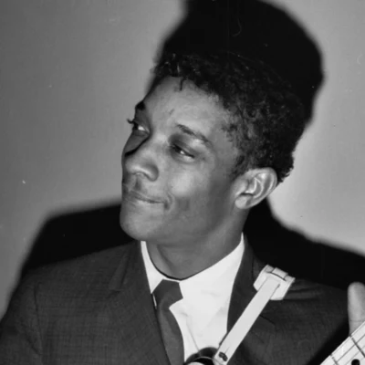 Hubert Sumlin 歌手