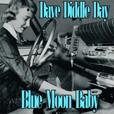 歌手 Dave Diddle Day