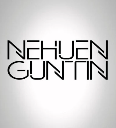 歌手 Nehuen GuntinQuintino & Blasterjaxx