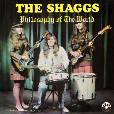 The Shaggs 歌手