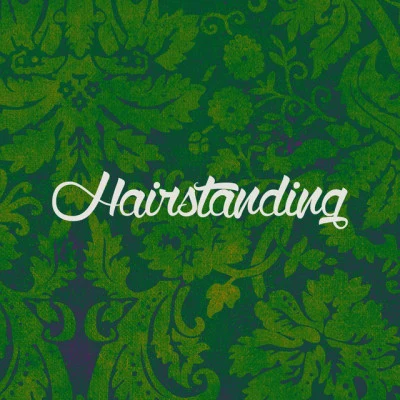 歌手 Hairstanding