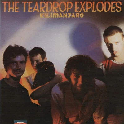 歌手 The Teardrop Explodes