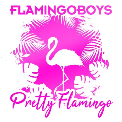 Flamingoboys 歌手