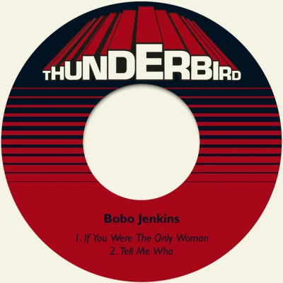 歌手 Bobo Jenkins