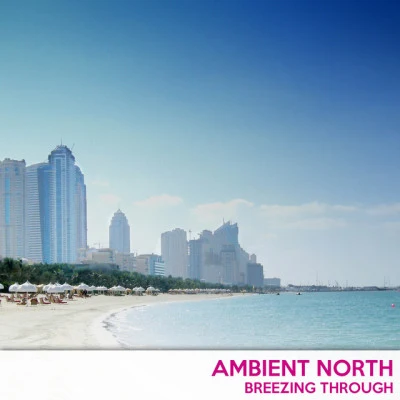 Ambient North 歌手