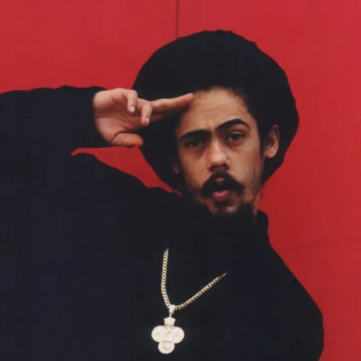 Damian Marley 歌手