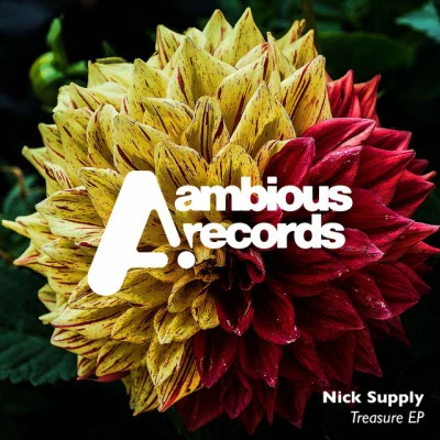 Nick Supply 歌手