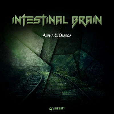 歌手 Intestinal Brain