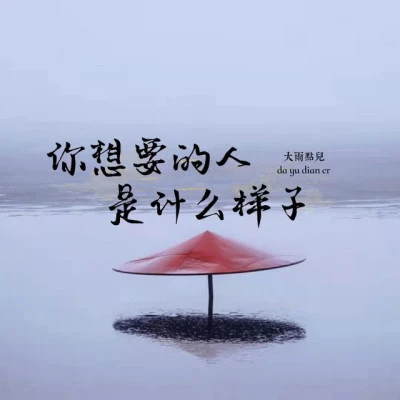 大雨點兒 歌手