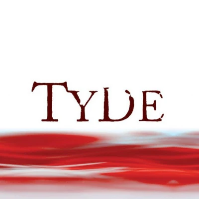 Tyde 歌手