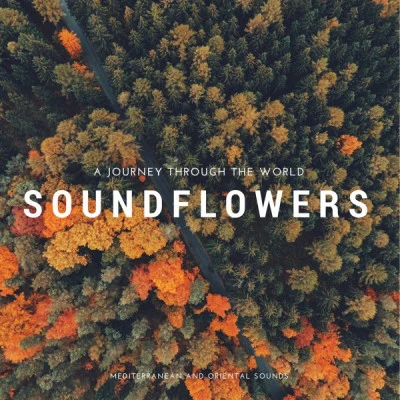 歌手 SoundflowersJacksonMayer