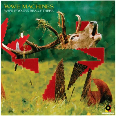 Wave Machines 歌手