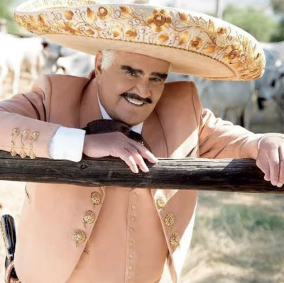 Vicente Fernandez 歌手