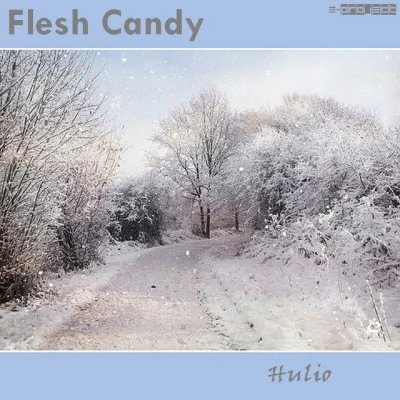 Flesh Candy 歌手