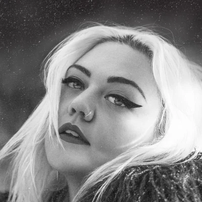 歌手 Elle King