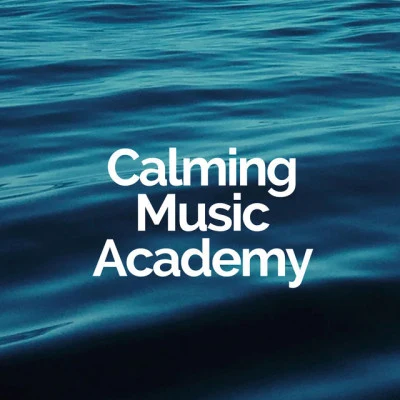 Calming Music Academy 歌手