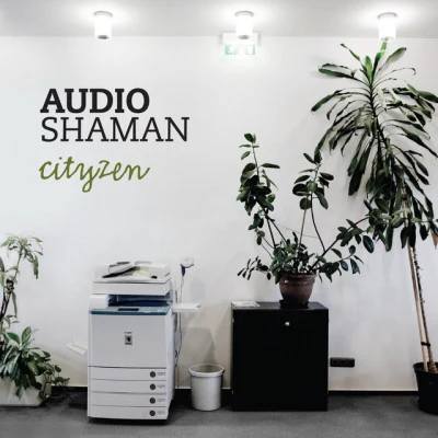 Audio Shaman 歌手