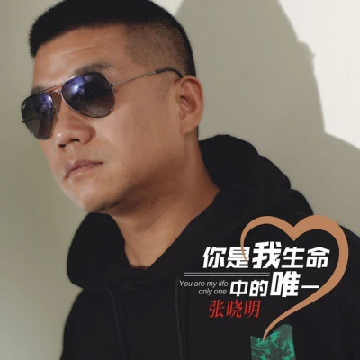 张晓明 歌手