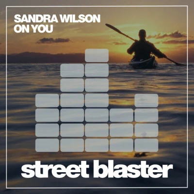 歌手 Sandra Wilson