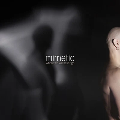 Mimetic 歌手