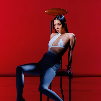 Rina Sawayama 歌手