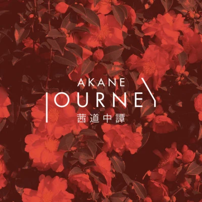 歌手 AKANE