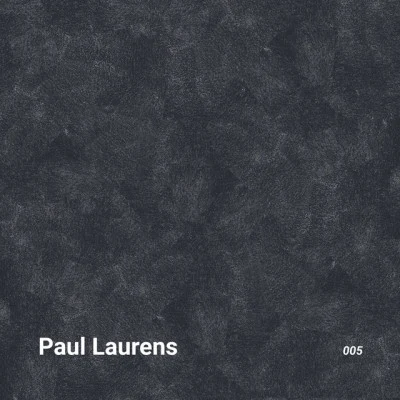 Paul Laurens 歌手