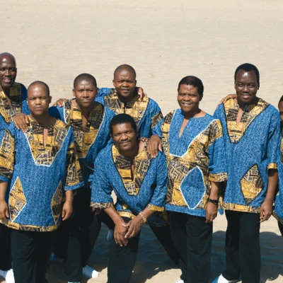 Ladysmith Black Mambazo 歌手