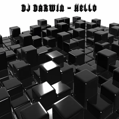 DJ Darwin 歌手