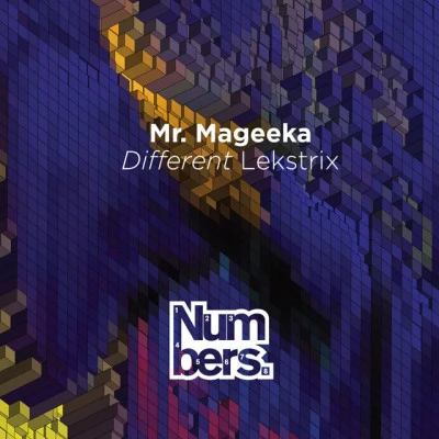 Mr Mageeka 歌手