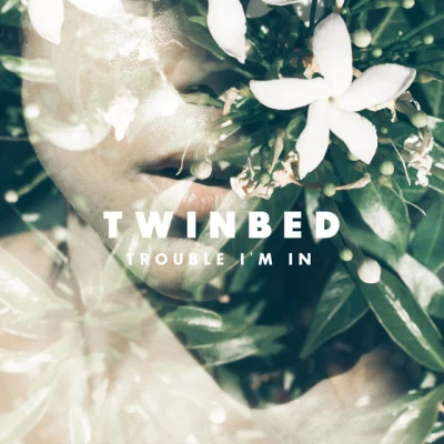 歌手 Twinbed