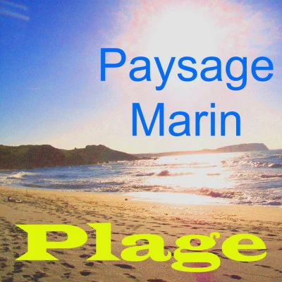 Plage 歌手