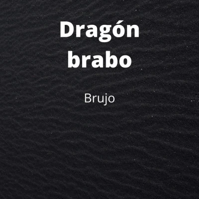 Brujo 歌手