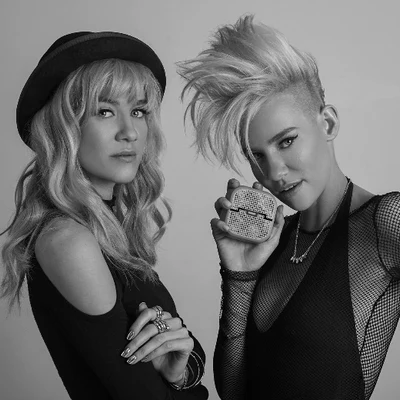 歌手 Nervo