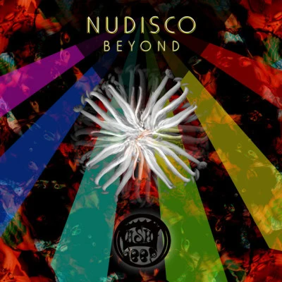 Nudisco 歌手