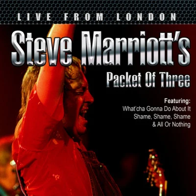 Steve Marriott 歌手