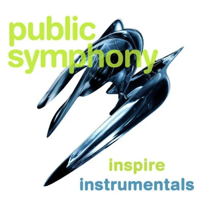 歌手 Public Symphony