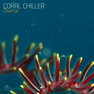 Coral Chiller 歌手