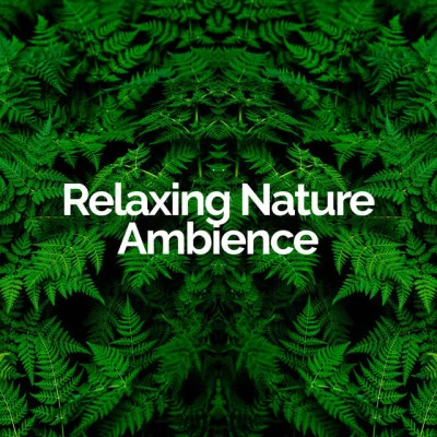 歌手 Relaxing Nature AmbienceNature & Sounds BackgroundsMeditation Music Club