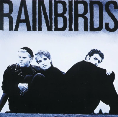 Rainbirds 歌手