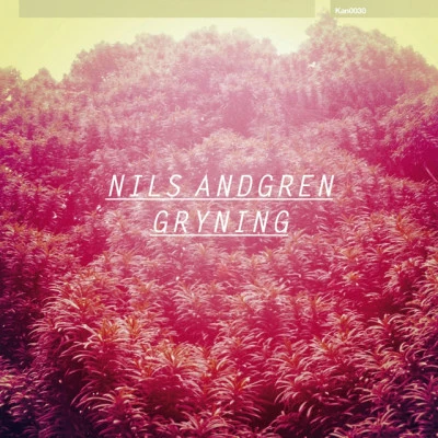 歌手 Nils Andgren