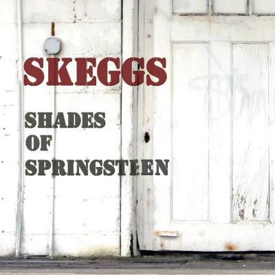 Skeggs 歌手