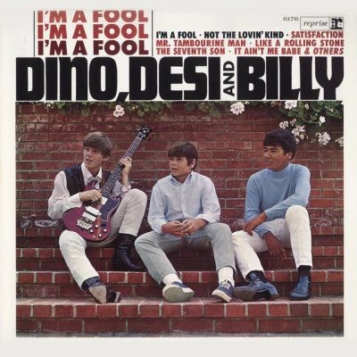 歌手 Dino, Desi & Billy