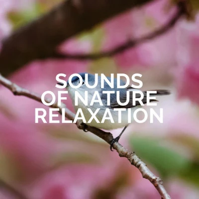 歌手 Sounds of Nature RelaxationKundalini: YogaLluvia para Dormir